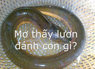 mơ thấy lươn đánh con gì